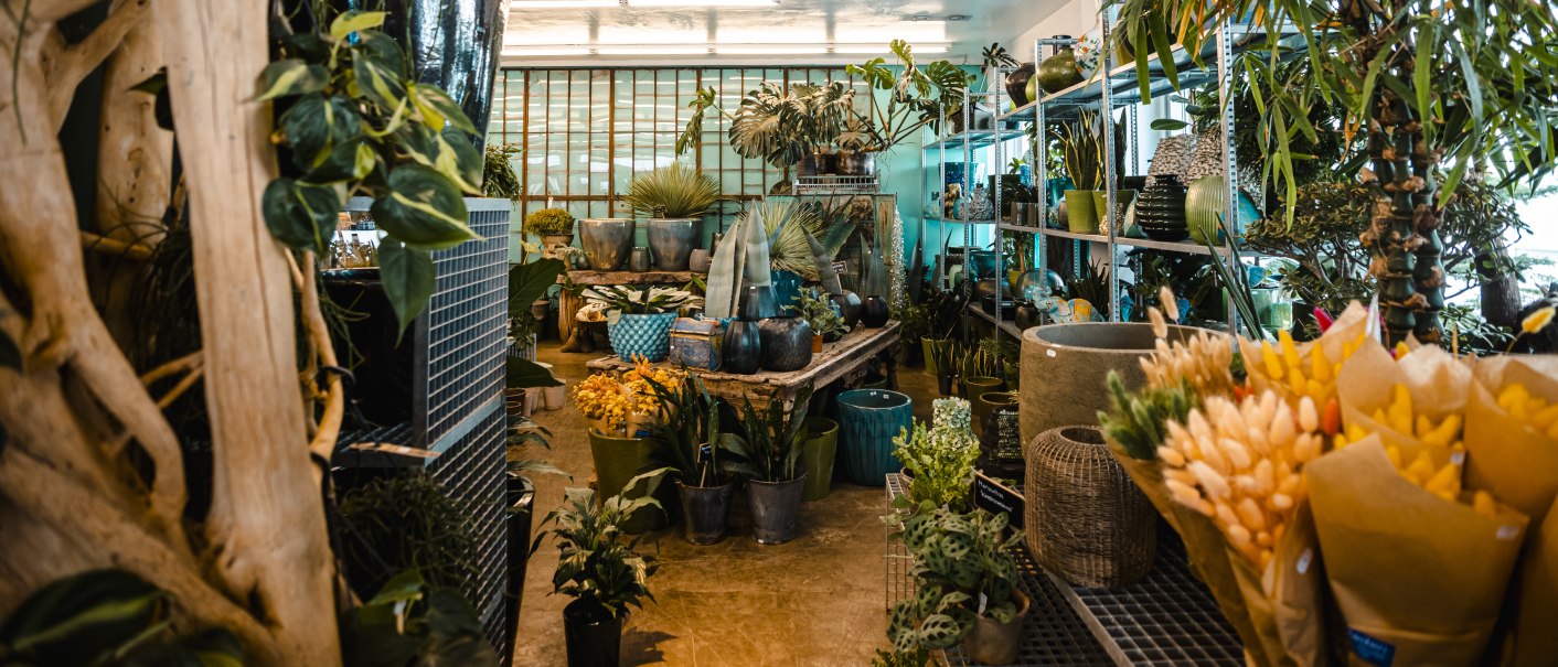 Ein Pflanzenladen mit zahlreichen grünen Pflanzen und Blumen in Töpfen. Regale und Tische sind dicht mit Pflanzen dekoriert., © SMG Stuttgart Marketing GmbH - Sarah Schmid Ein Pflanzenladen mit zahlreichen grünen Pflanzen und Blumen in Töpfen. Regale und Tische sind dicht mit Pflanzen dekoriert., © SMG Stuttgart Marketing GmbH - Sarah Schmid