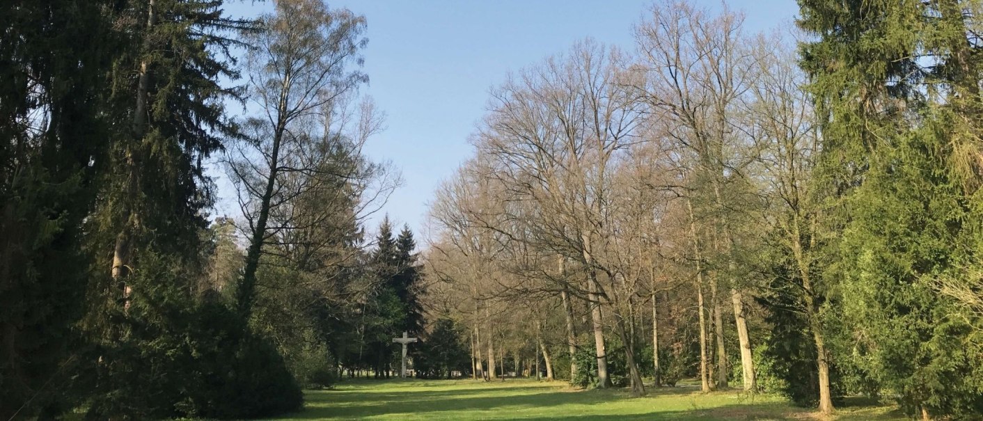 A woodland cemetery with a green meadow surrounded by tall trees. A large cross can be seen in the background., © Stuttgart-Marketing GmbH