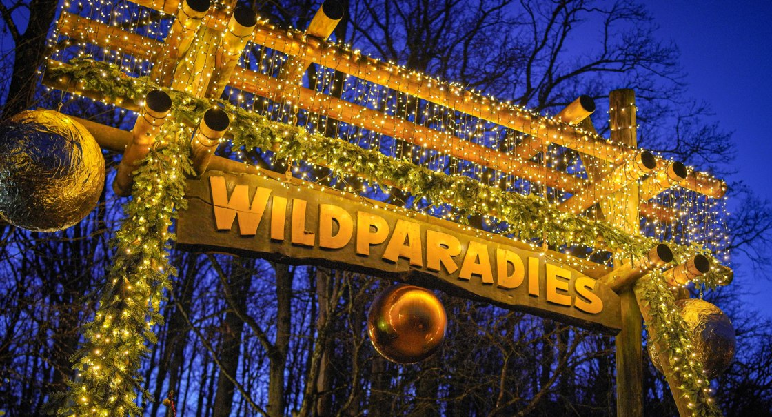 Eingangstor mit der Aufschrift 'Wildparadies', geschmückt mit Lichterketten und Tannenzweigen, vor einem dunklen Himmel., © Erlebnispark Tripsdrill Eingangstor mit der Aufschrift 'Wildparadies', geschmückt mit Lichterketten und Tannenzweigen, vor einem dunklen Himmel., © Erlebnispark Tripsdrill