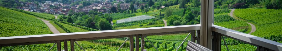 Terrace with table and chairs, view of green vineyards and a village in the background. Sunny day, clear view of the landscape., &copy; Rotenberger Weing&auml;rtle, Frederik Garlin