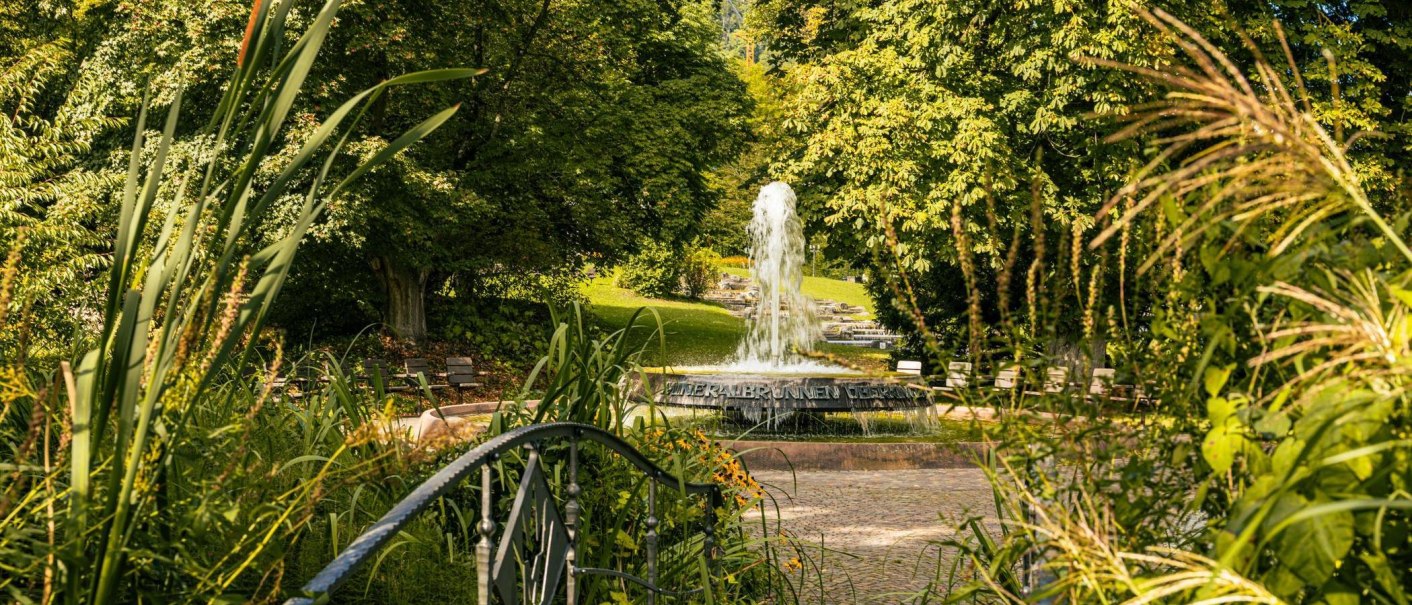 An idyllic fountain in the spa gardens of Bad &Uuml;berkingen, surrounded by lush vegetation and trees, with a small path in the foreground., &copy; SMG Stuttgart Marketing GmbH - Sarah Schmid