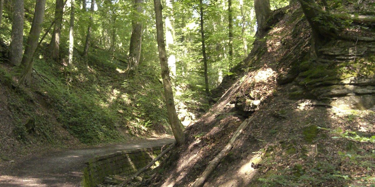 Tumescent blade, © Stuttgarter Straßenbahnen AG
