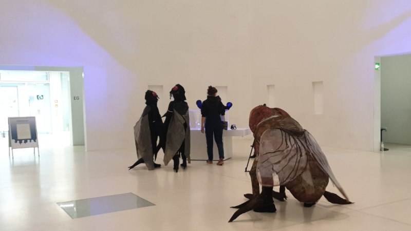 Zwei Personen in Fliegenkostümen und eine weitere Person in einem modernen, weißen Ausstellungsraum. Die Szene wirkt surreal und künstlerisch., © Foto: Stadtbibliothek Stuttgart Zwei Personen in Fliegenkostümen und eine weitere Person in einem modernen, weißen Ausstellungsraum. Die Szene wirkt surreal und künstlerisch., © Foto: Stadtbibliothek Stuttgart