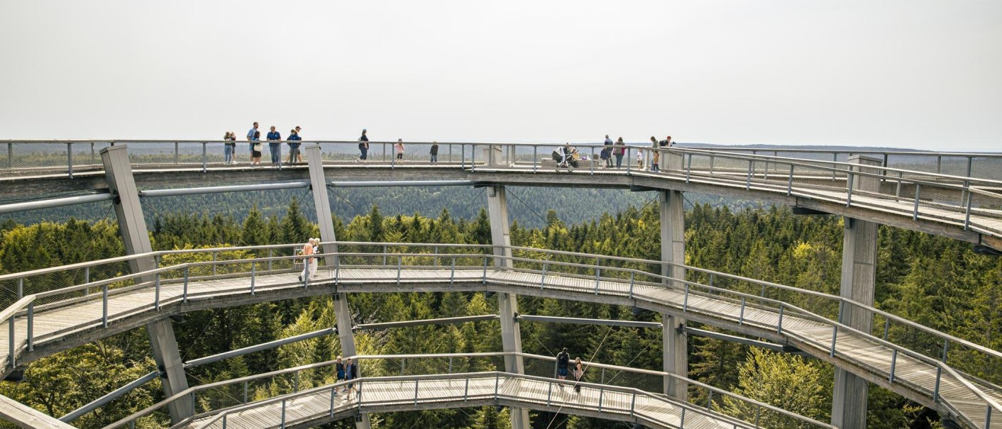 The observation tower in Bad Wildbad features spiral paths high above a dense forest, where visitors can stroll and enjoy the view., © SMG Stuttgart Marketing GmbH - Sarah Schmid The observation tower in Bad Wildbad features spiral paths high above a dense forest, where visitors can stroll and enjoy the view., © SMG Stuttgart Marketing GmbH - Sarah Schmid