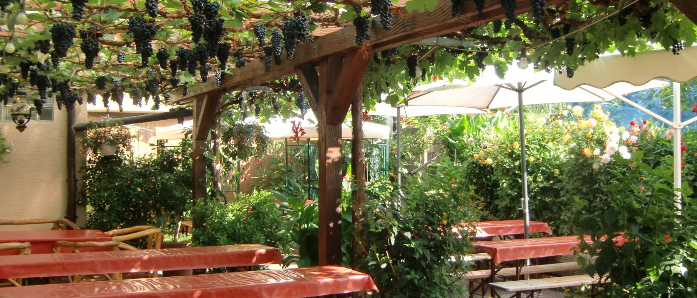 An inviting garden with wooden tables under a pergola covered in grapes. Umbrellas and flowering plants create a cozy atmosphere., &copy; Simone Mack