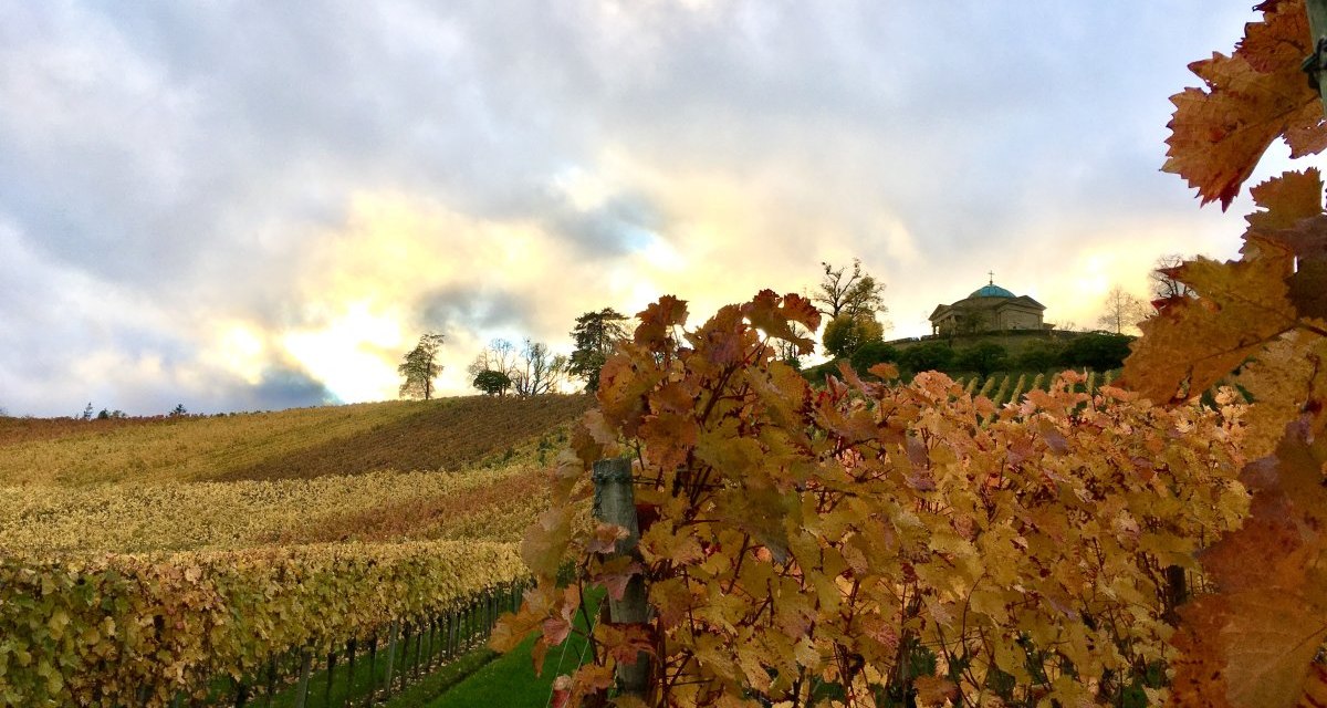 Herbstliche Weinberge mit buntem Laub, im Hintergrund eine Kapelle auf einem Hügel unter bewölktem Himmel., © Stuttgart-Marketing GmbH Herbstliche Weinberge mit buntem Laub, im Hintergrund eine Kapelle auf einem Hügel unter bewölktem Himmel., © Stuttgart-Marketing GmbH
