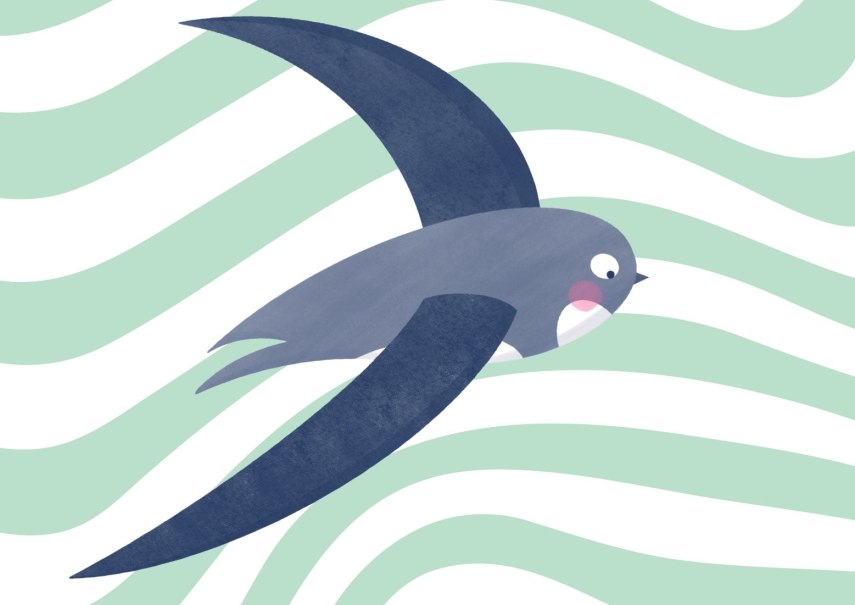 Illustration of a bird with long wings and pink cheeks, flying in front of a mint green, wavy background., © Promina Shrestha Illustration of a bird with long wings and pink cheeks, flying in front of a mint green, wavy background., © Promina Shrestha