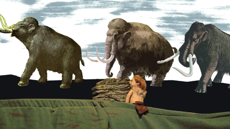 Eine Herde Mammuts durchstreift die weite Steinzeitlandschaft., &copy; Fliegendes Theater