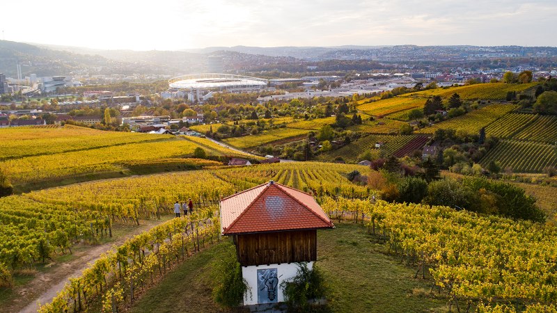 Weinberge im Vordergrund mit einem kleinen Gebäude. Im Hintergrund ist eine Stadtlandschaft mit Stadion und Hügeln zu sehen., © Weingut Wöhrwag Weinberge im Vordergrund mit einem kleinen Gebäude. Im Hintergrund ist eine Stadtlandschaft mit Stadion und Hügeln zu sehen., © Weingut Wöhrwag
