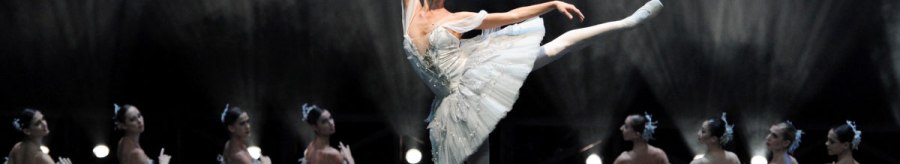 Anna Osadcenko in Maximiliano Guerras Don Quijote, &copy; Stuttgarter Ballett