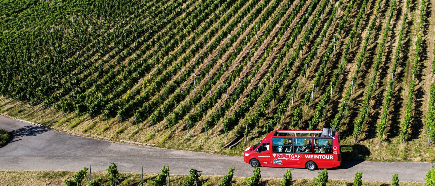 Weintour, © SMG, Thomas Niedermüller 