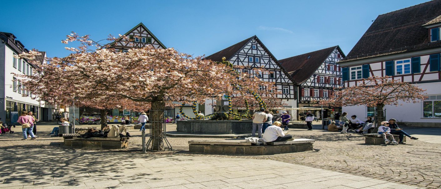 The market square in Kirchheim unter Teck shows blossoming trees, half-timbered houses and people sitting on benches and enjoying the sunny day., © SMG Stuttgart Marketing GmbH - Sarah Schmid