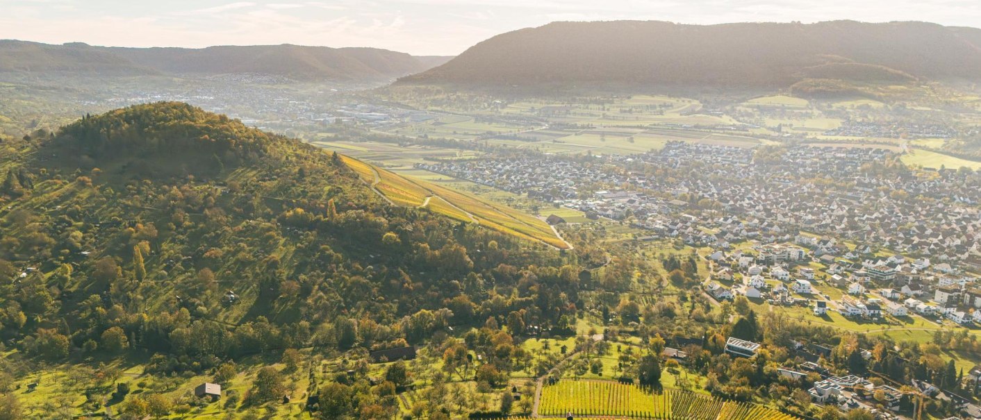 Aerial view of Metzingen, surrounded by green hills and vineyards. The town stretches out across a valley dotted with houses and fields., &copy; SMG Stuttgart Marketing GmbH - Sarah Schmid