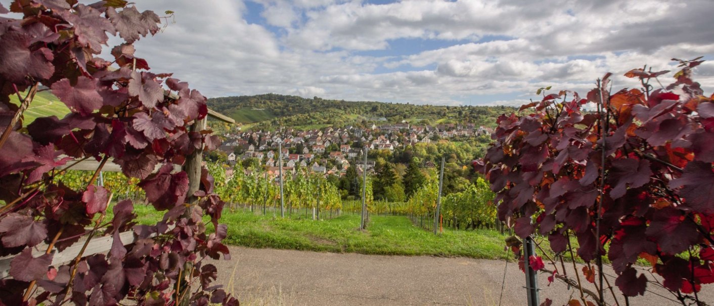 Weinreben mit roten Blättern rahmen den Blick auf eine Stadt in hügeliger Landschaft ein. Der Himmel ist bewölkt., © Stuttgart-Marketing GmbH Weinreben mit roten Blättern rahmen den Blick auf eine Stadt in hügeliger Landschaft ein. Der Himmel ist bewölkt., © Stuttgart-Marketing GmbH