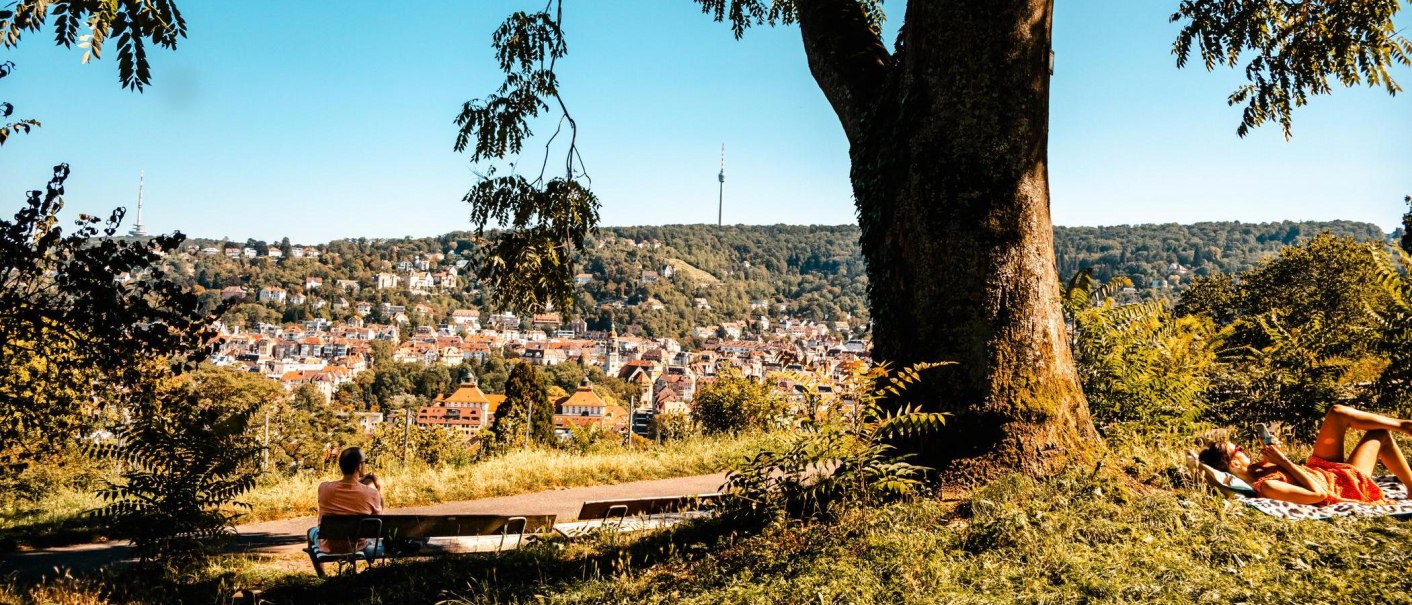 Blick von der Karlshöhe auf Stuttgart, mit einem großen Baum im Vordergrund und dem Fernsehturm in der Ferne. Menschen entspannen auf der Wiese., © Stuttgart Marketing GmbH, Sarah Schmid