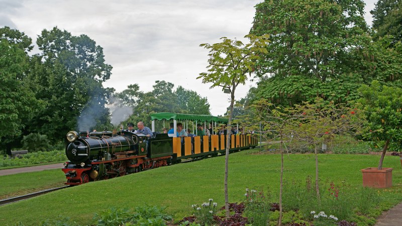 Eine kleine Dampflokomotive zieht bunte Waggons durch einen grünen Park mit Bäumen und Blumen., © Andreas Pucka