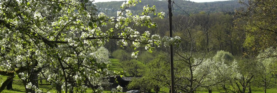 Streuobstwiese Gewann Kressart, &copy; Stuttgarter Stra&szlig;enbahnen AG