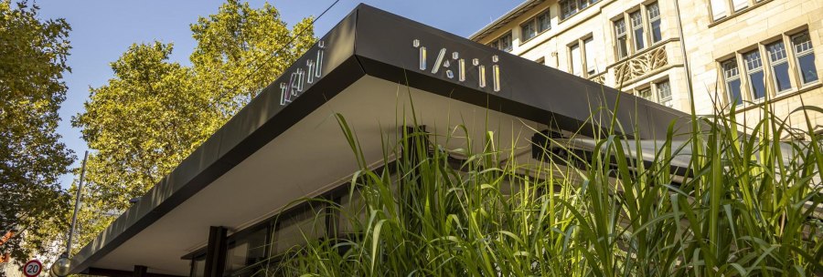Modernes Gebäude mit dem Schriftzug 'Tatti' auf dem Dach. Im Vordergrund sind hohe grüne Pflanzen zu sehen. Im Hintergrund ein historisches Gebäude., © SMG, Sarah Schmid