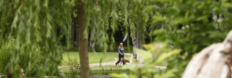Eine Frau spaziert mit einem Hund im Schlossgarten Stuttgart. Im Vordergrund sind Bäume und ein Teich mit Enten zu sehen., © Stuttgart-Marketing GmbH, Christoph Düpper