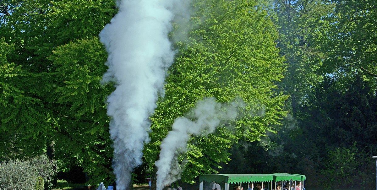 Die Killesbergbahn fährt durch einen blühenden Park mit gelben und blauen Blumen, umgeben von grünen Bäumen. Eine Dampflokomotive zieht gelbe Waggons., © Andreas Pucka Die Killesbergbahn fährt durch einen blühenden Park mit gelben und blauen Blumen, umgeben von grünen Bäumen. Eine Dampflokomotive zieht gelbe Waggons., © Andreas Pucka