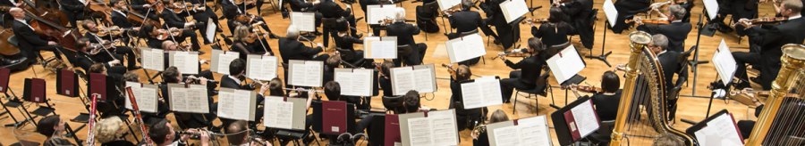 An orchestra plays on a stage, musicians with various instruments, including strings and wind instruments, conducted by a person in the middle., &copy; Sebastian Klein
