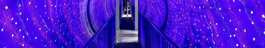 Ein beleuchteter Tunnel mit blauen und violetten Lichtern im Museum der Illusionen Stuttgart. Eine Person steht am Ende des Tunnels., © Stuttgart-Marketing GmbH, Sarah Schmid Ein beleuchteter Tunnel mit blauen und violetten Lichtern im Museum der Illusionen Stuttgart. Eine Person steht am Ende des Tunnels., © Stuttgart-Marketing GmbH, Sarah Schmid