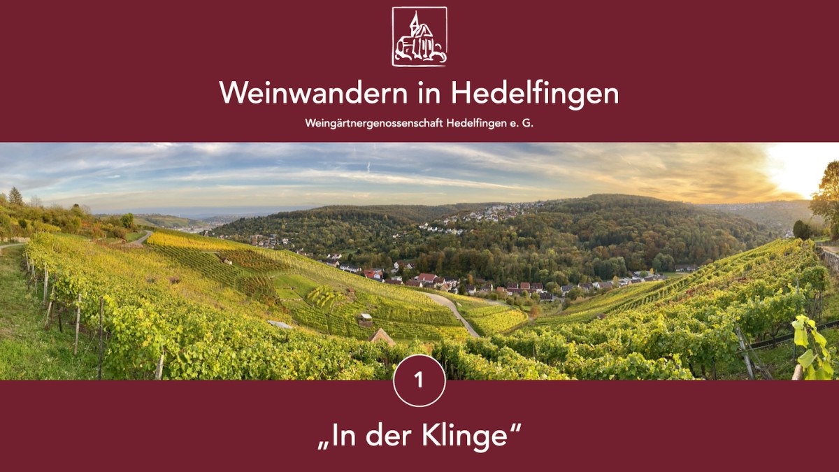 Panoramablick auf die Weinberge von Hedelfingen, umgeben von Hügeln und Häusern. Der Himmel ist leicht bewölkt, die Landschaft herbstlich grün., © Lukas Alperowitz