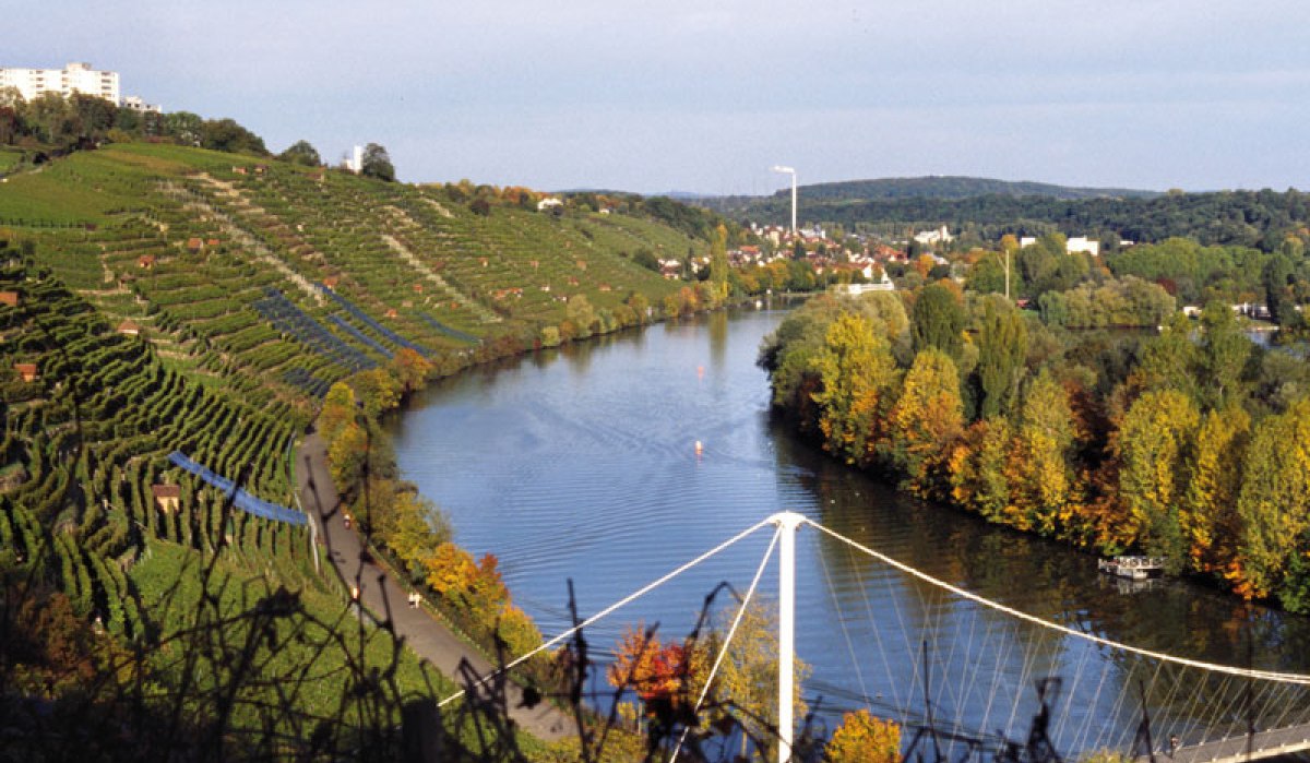 Vineyards on the Cannstatter Zuckerle, the Neckar flows through the landscape. A bridge and autumnal trees can be seen., © Stuttgart-Marketing GmbH