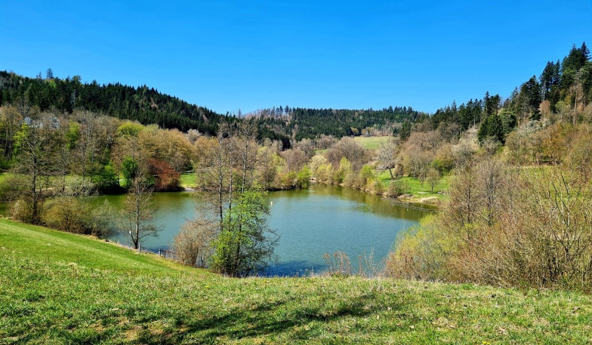 Inklusive Wanderbotschafter:innen - Diebachsee - Barrierefreie Wanderung mit Start in Fichtenberg