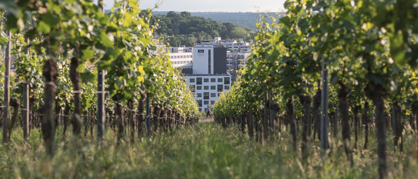 A modern building complex is visible through rows of grapevines growing in a green vineyard., © the niu Form - Novum Hospitality A modern building complex is visible through rows of grapevines growing in a green vineyard., © the niu Form - Novum Hospitality