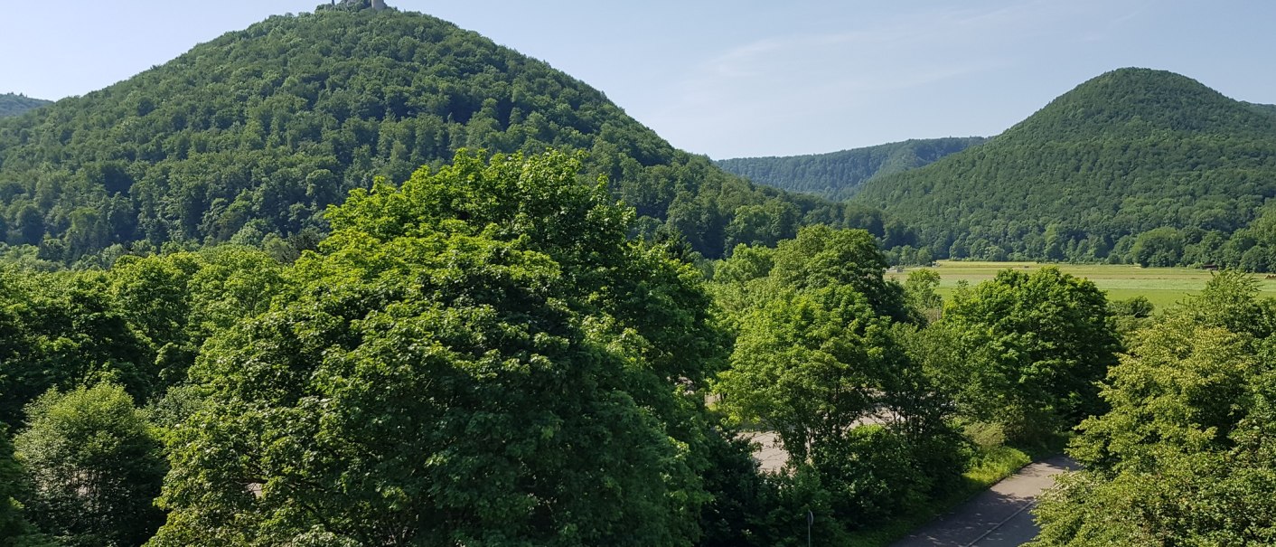 Grüne bewaldete Hügel unter klarem Himmel, mit einer Straße und Bäumen im Vordergrund., © ©hotel-graf-eberhard.de