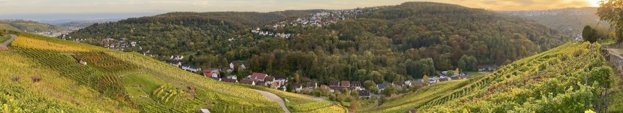 Weinberge erstrecken sich &uuml;ber sanfte H&uuml;gel, ein Dorf liegt eingebettet in die gr&uuml;ne Landschaft. Der Himmel ist leicht bew&ouml;lkt, die Sonne geht unter., &copy; Weing&auml;rtnergenossenschaft Hedelfingen