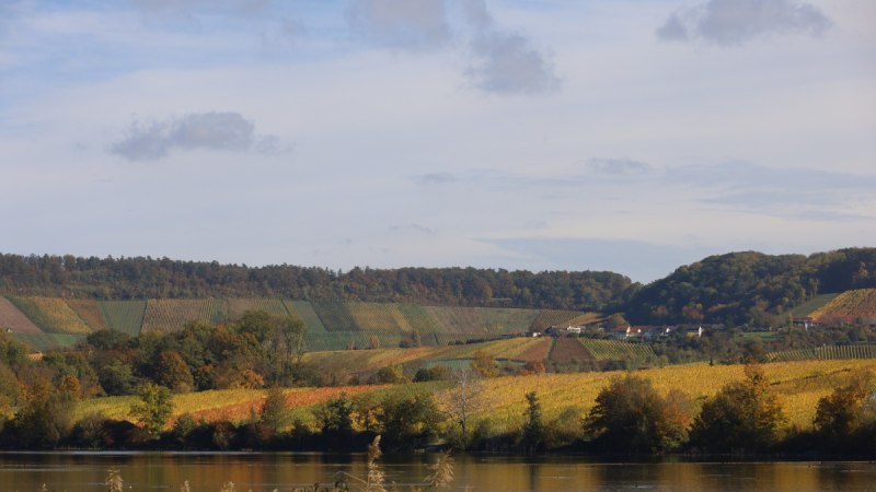 Herbstliche Landschaft mit einem See im Vordergrund, umgeben von bunten Weinbergen und bewaldeten Hügeln unter einem leicht bewölkten Himmel., © NPSFW Herbstliche Landschaft mit einem See im Vordergrund, umgeben von bunten Weinbergen und bewaldeten Hügeln unter einem leicht bewölkten Himmel., © NPSFW