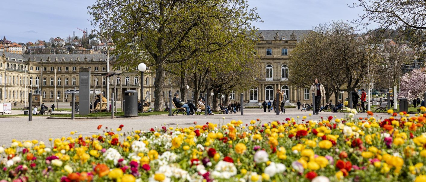Bunte Blumen im Vordergrund, Menschen auf B&auml;nken und Spazierg&auml;nger auf dem Schlossplatz in Stuttgart. Historische Geb&auml;ude und B&auml;ume im Hintergrund., &copy; Stuttgart Marketing GmbH, Sarah Schmid