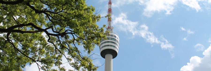 The Stuttgart television tower rises into the blue sky, surrounded by green tree branches., © Stuttgart-Marketing GmbH