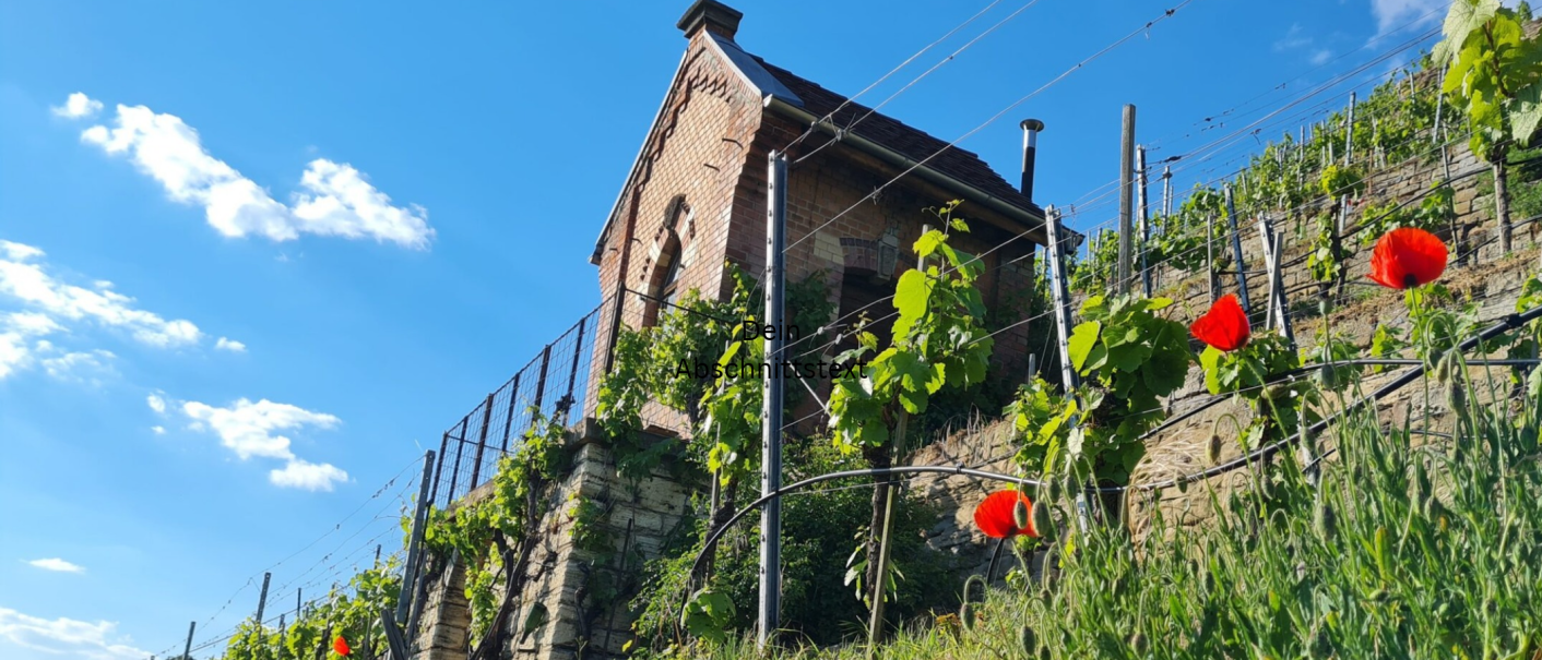 Weinbergh&auml;usle, &copy; Sideline Wine GmbH