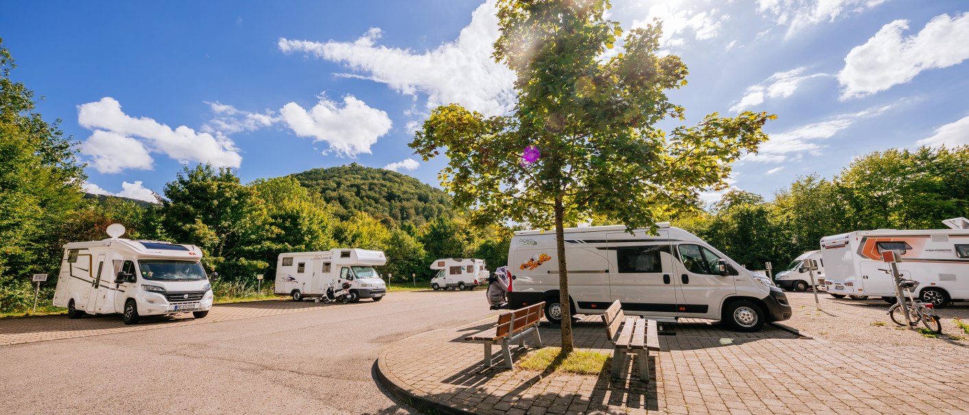 Wohnmobilstellplatz mit mehreren Wohnmobilen unter blauem Himmel und Sonnenschein, umgeben von Bäumen und einem Hügel im Hintergrund., © Stuttgart-Marketing GmbH, Thomas Niedermüller Wohnmobilstellplatz mit mehreren Wohnmobilen unter blauem Himmel und Sonnenschein, umgeben von Bäumen und einem Hügel im Hintergrund., © Stuttgart-Marketing GmbH, Thomas Niedermüller