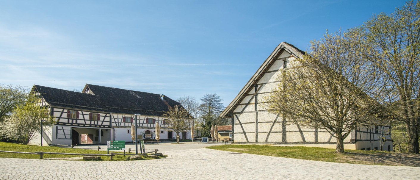 Zwei Fachwerkhäuser im Freilichtmuseum Beuren, umgeben von Bäumen und blauem Himmel. Kopfsteinpflaster führt durch die Szene., © SMG, Sarah Schmid