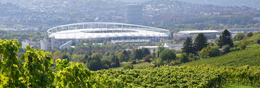 Vineyards in the foreground, behind them a large stadium and the city of Stuttgart. Hills and buildings can be seen in the background., © BURKHARDT HELLWIG