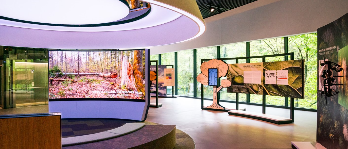A modern exhibition space with screens and display panels about forests and climate. Large windows offer a view of the greenery., © STIHL Markenwelt A modern exhibition space with screens and display panels about forests and climate. Large windows offer a view of the greenery., © STIHL Markenwelt