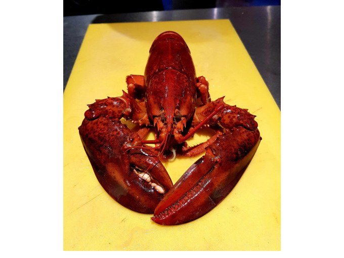 A cooked lobster lies on a yellow chopping board, ready to be prepared., &copy; Kultweine-Kochwelten-Kunst&uuml;cke - Kochschule Sonja Lenz