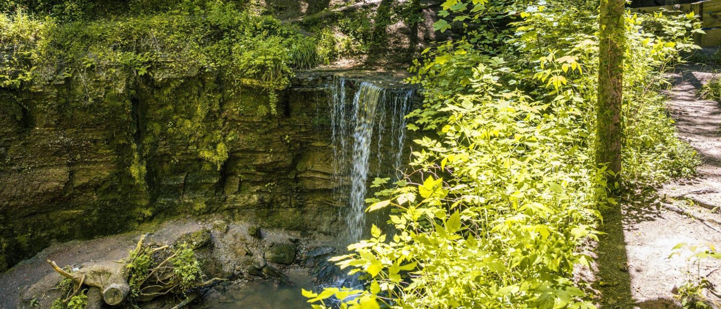 A small waterfall in the Murrhardt Forest, surrounded by lush greenery and sunlight. The waterfall flows over a moss-covered rock face., © SMG Stuttgart Marketing GmbH - Sarah Schmid A small waterfall in the Murrhardt Forest, surrounded by lush greenery and sunlight. The waterfall flows over a moss-covered rock face., © SMG Stuttgart Marketing GmbH - Sarah Schmid
