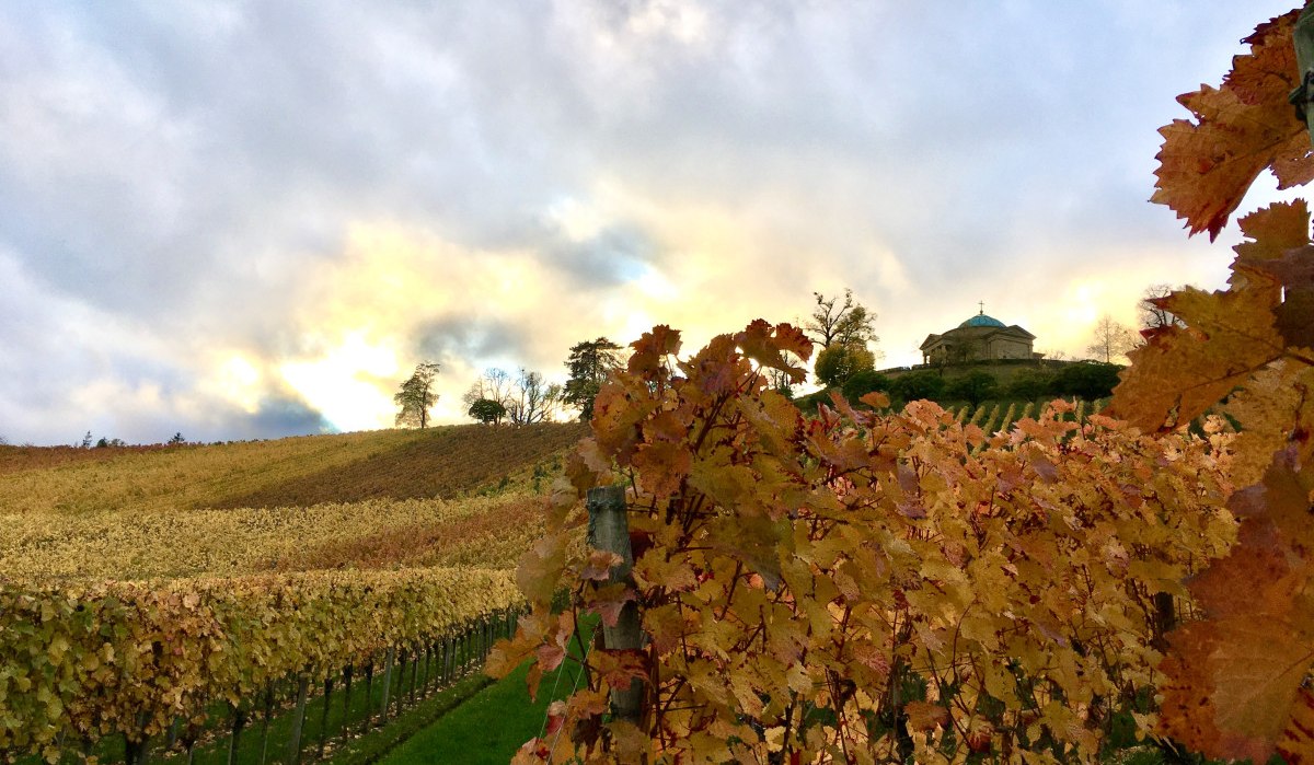 Autumnal vineyards with colorful foliage, in the background a chapel on a hill under a cloudy sky., © Stuttgart-Marketing GmbH