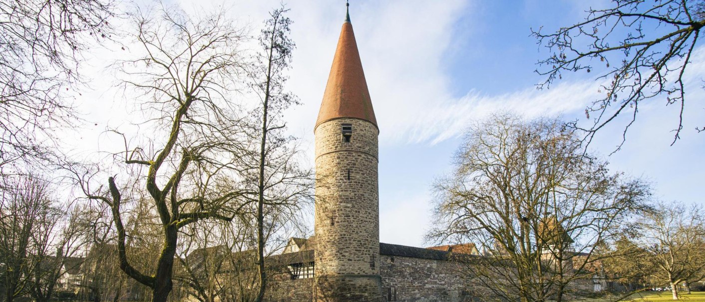 The Red Tower in Weil der Stadt rises majestically among bare trees under a clear blue sky., © SMG Stuttgart Marketing GmbH - Sarah Schmid The Red Tower in Weil der Stadt rises majestically among bare trees under a clear blue sky., © SMG Stuttgart Marketing GmbH - Sarah Schmid