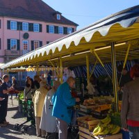 People shop at a market in Murrhardt. Yellow market stalls offer fruit and vegetables. A large pink building in the background., © Stuttgart-Marketing GmbH, Achim Mende People shop at a market in Murrhardt. Yellow market stalls offer fruit and vegetables. A large pink building in the background., © Stuttgart-Marketing GmbH, Achim Mende