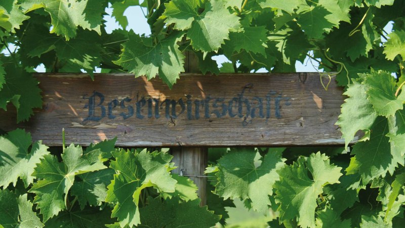 A wooden sign with the inscription 'Besenwirtschaft' is surrounded by green vine leaves., © SMG