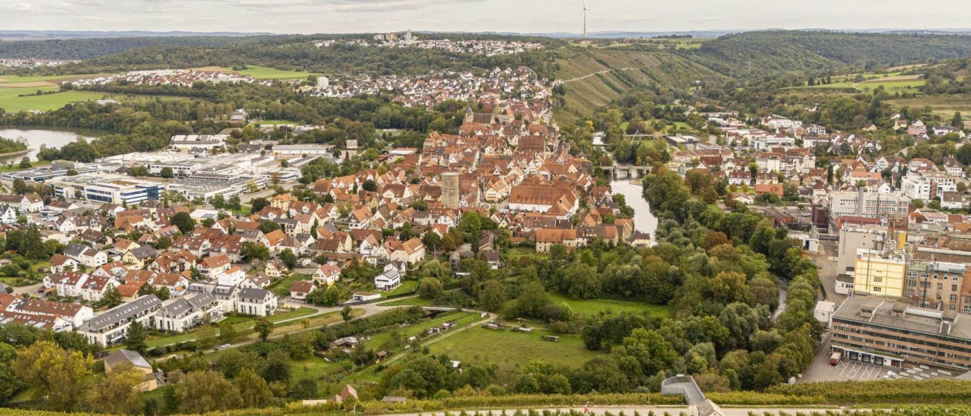 Panoramic view of Besigheim, surrounded by green vineyards and the river. Historic buildings and modern structures characterize the townscape., &copy; SMG, Sarah Schmid