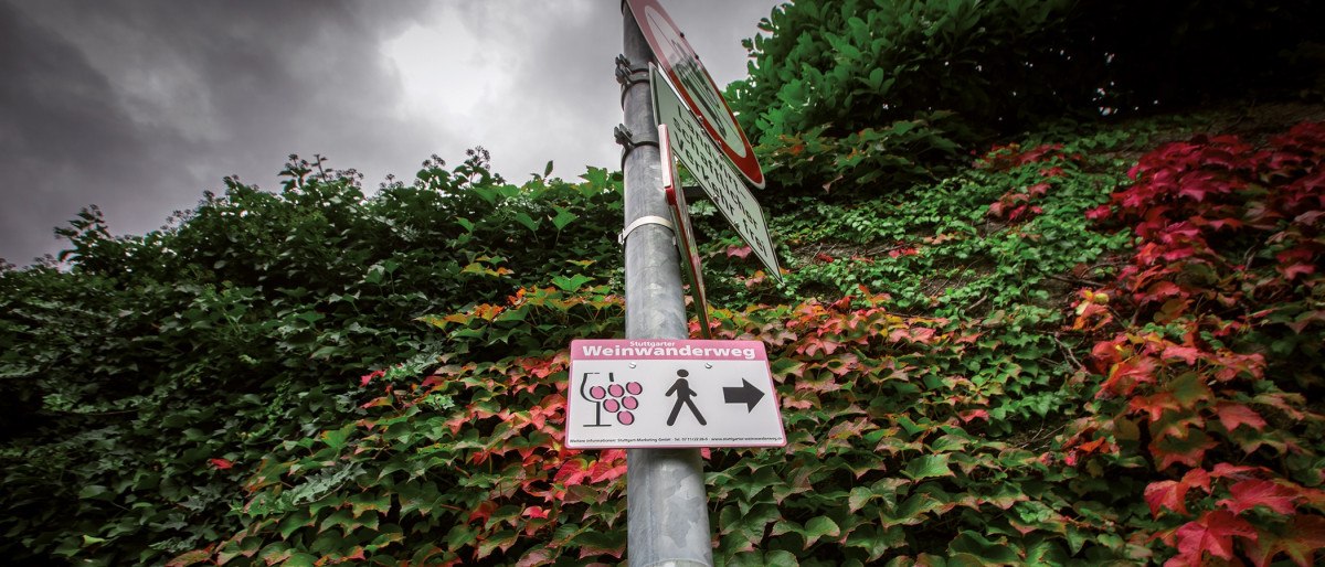Wine trail, © Stuttgart-Marketing GmbH Wine trail, © Stuttgart-Marketing GmbH