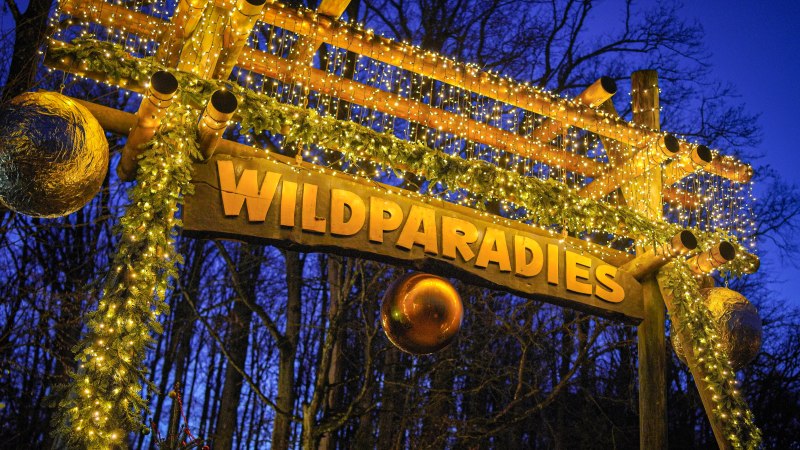 WinterWunderWald, © Erlebnispark Tripsdrill WinterWunderWald, © Erlebnispark Tripsdrill