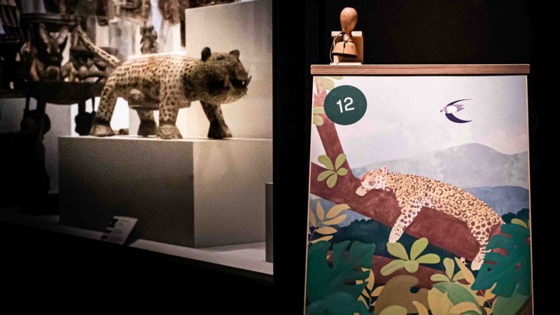 Ein Leopardenmodell in einem Museum neben einer Illustration eines Leoparden auf einem Baum. Die Szene ist dunkel beleuchtet., © © Visuell Studio für Kommunikation Ein Leopardenmodell in einem Museum neben einer Illustration eines Leoparden auf einem Baum. Die Szene ist dunkel beleuchtet., © © Visuell Studio für Kommunikation